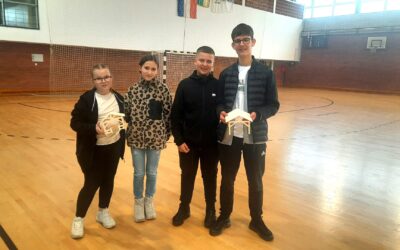 12. manifestacija „Danas mali sutra veliki majstor“ – Modelarska liga
