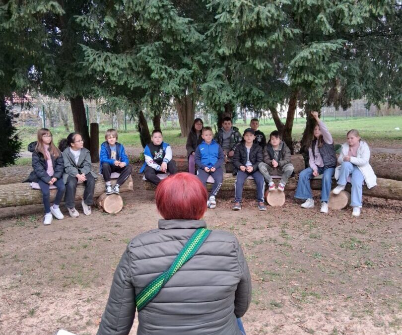 Međunarodni dan šuma