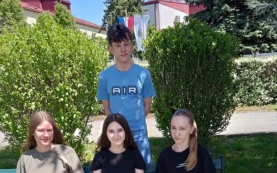 Školska godišnja nagrada „Mirko Sabolović“